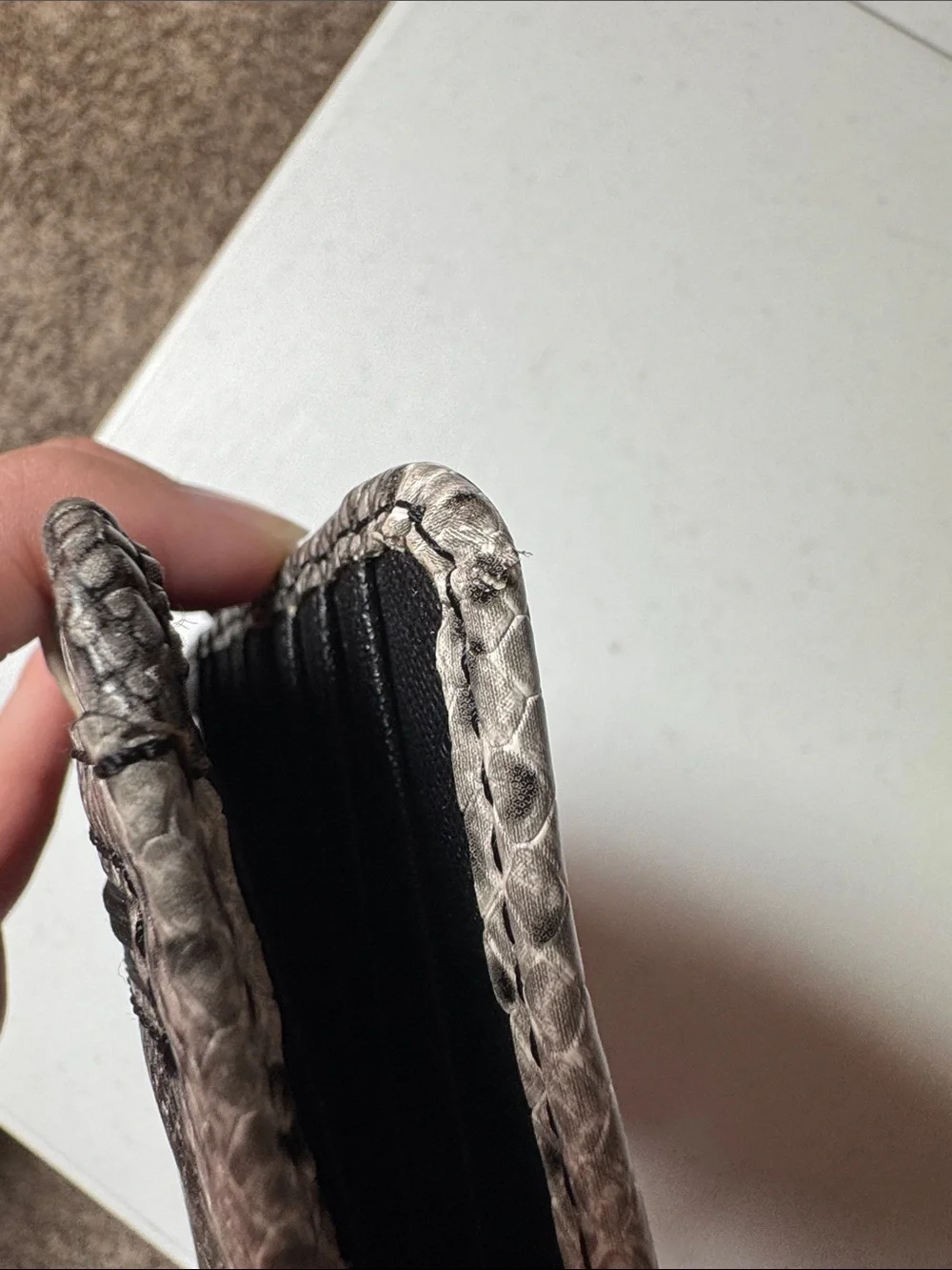 Fossil great slight